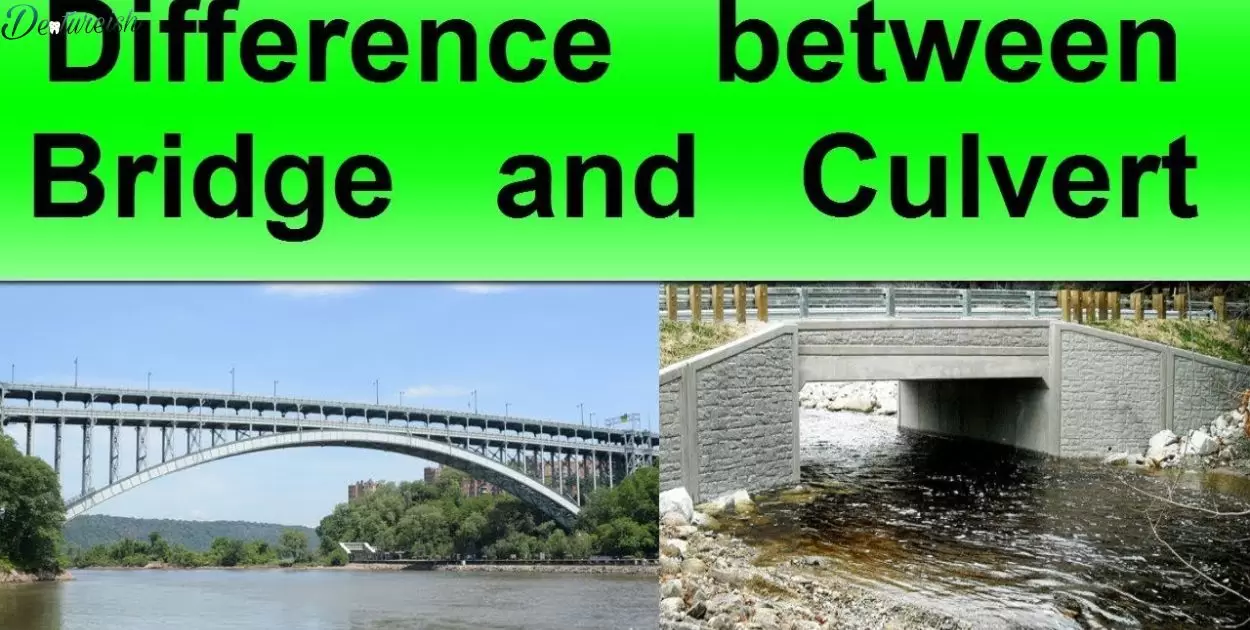 What Is The Difference Between A Bridge And A Partial?