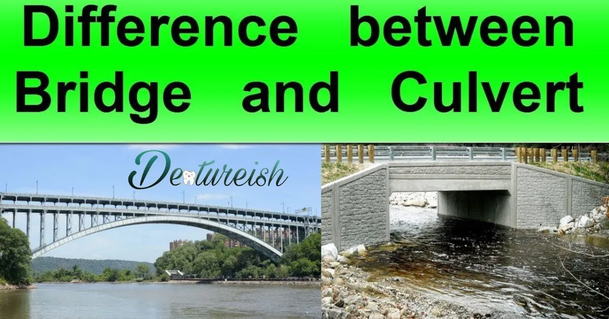 What's The Difference Between A Bridge And A Partial?